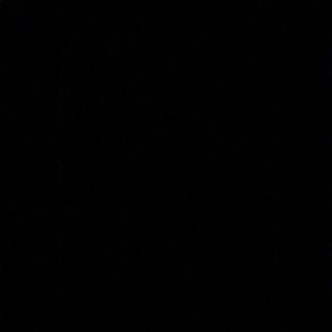 Meet your Posher, Dria